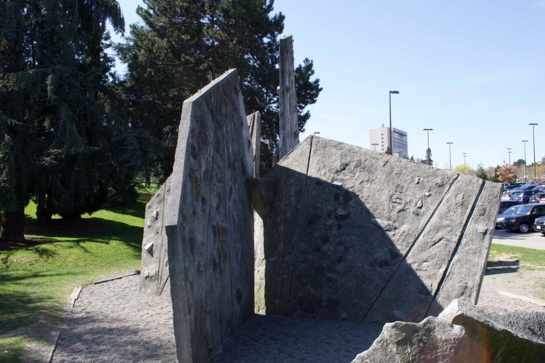 Finest Climbing Gyms in Seattle for Bouldering, Lead, and High Rope 6