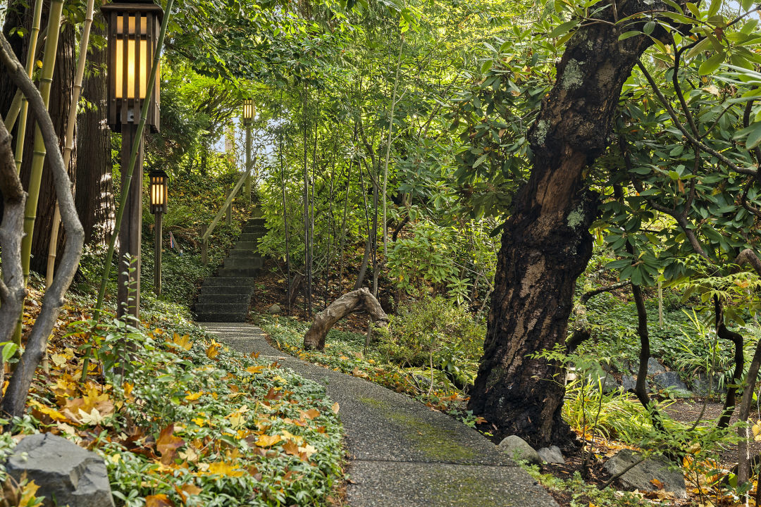 088_im300199_kvekaw image 088_im300199_kvekaw Property Watch: Japanese-Inspired Woodland Home in Broadview - Seattle Met | Computer Repair, Networking, and IT Support in Seattle, WA