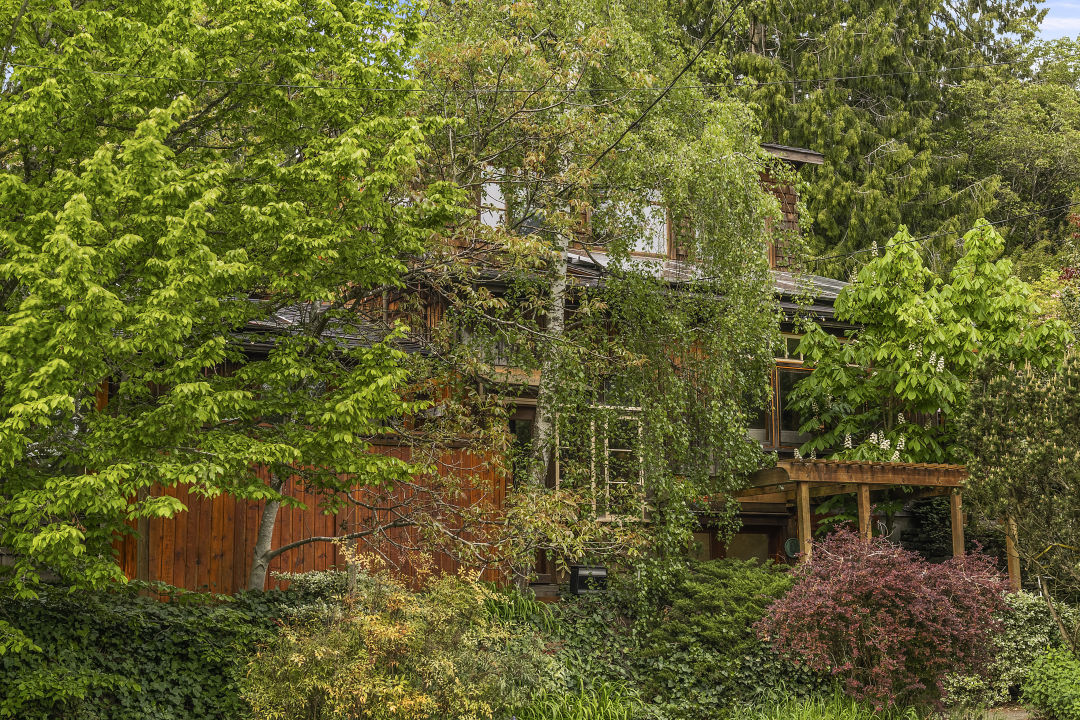 7302_21st_Ave_NE_Print_-_82_b8bdbt image 7302_21st_Ave_NE_Print_-_82_b8bdbt Property Watch: A Nature-Filled Habitat for People in Ravenna - Seattle Met | Computer Repair, Networking, and IT Support in Seattle, WA