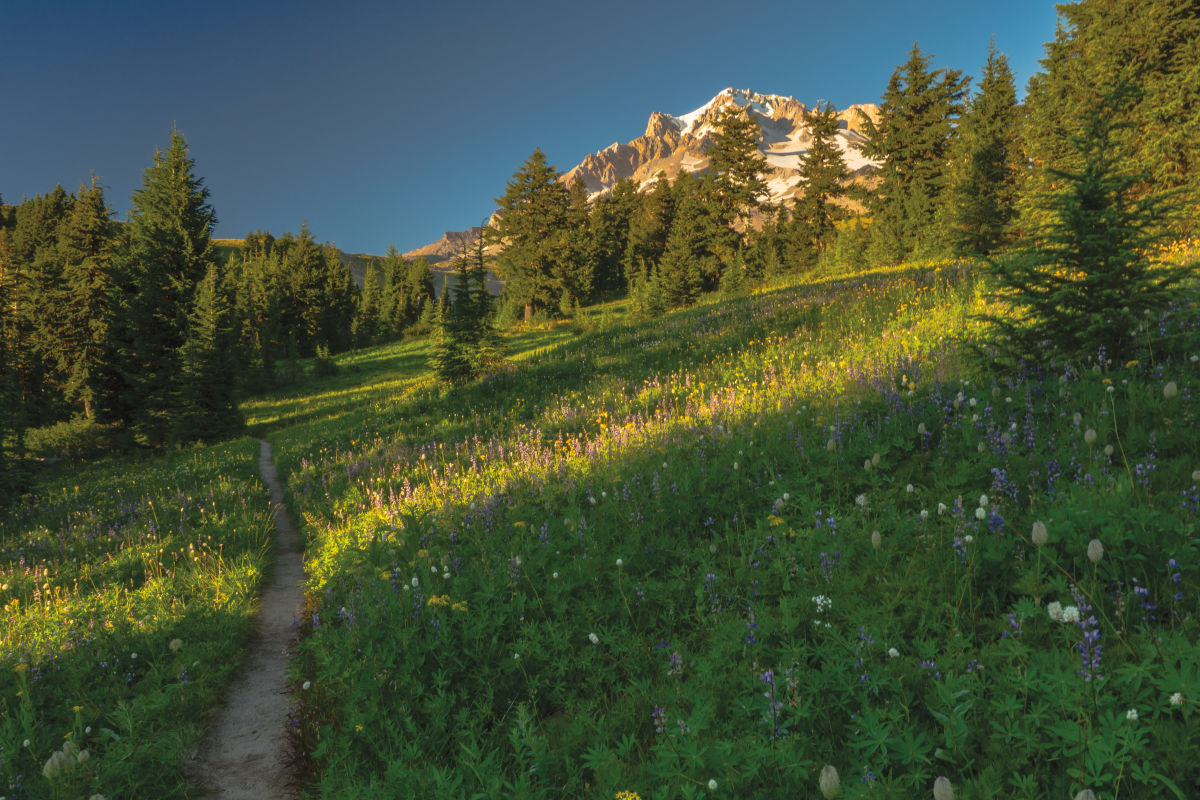 The Ultimate Pacific Northwest Camping Cheat Sheet Portland Monthly