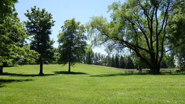 Molallariverstatepark2 nzcakx