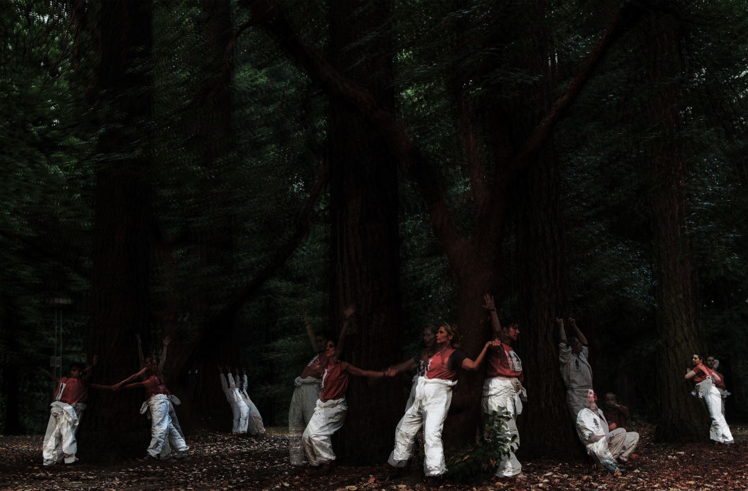 Hand2mouth psychic utopia ensemble forest large filen mishima photography marguier design tq6h3n