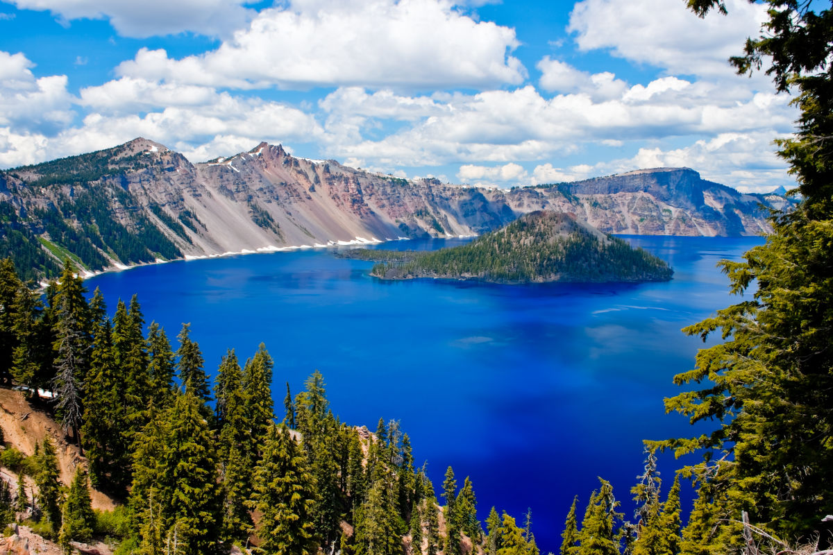 Park for Free or Help Pull Weeds on National Public Lands Day, September 24 - Vimarsana News