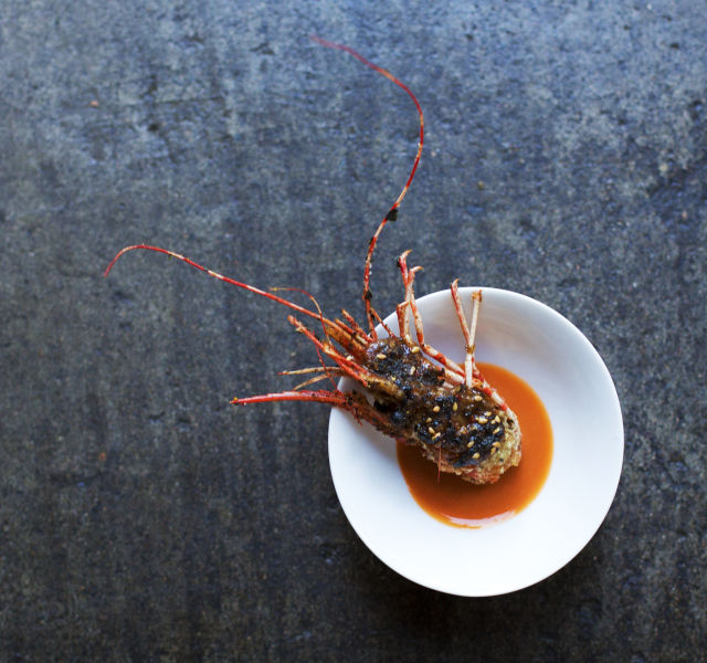 Prawn djqavd
