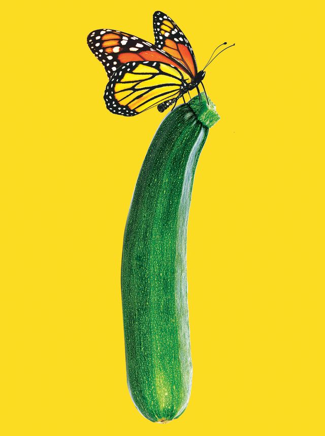 Zucchini self love fezltv