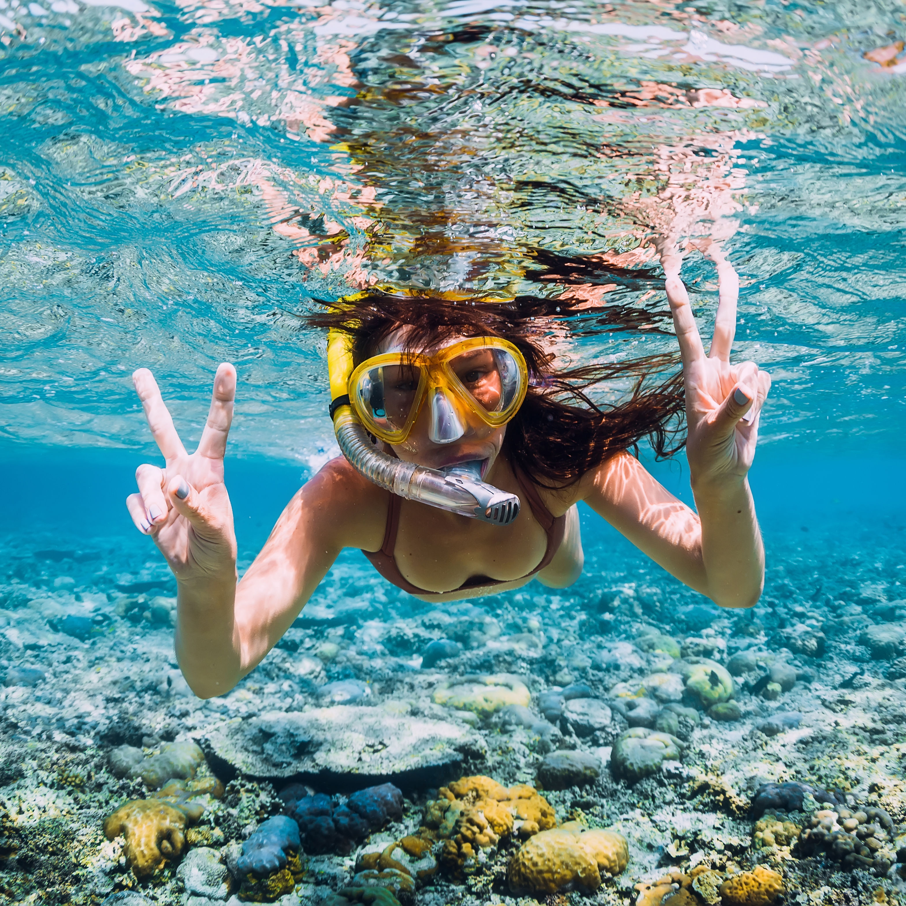 Shutterstock/Wonderful Nature | Sarasota Magazine