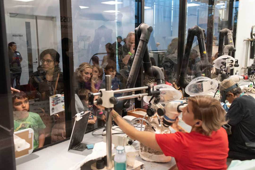 Visitors watch paleontologists prepare fossils during the grand opening of the new Burke Museum in October 2019.