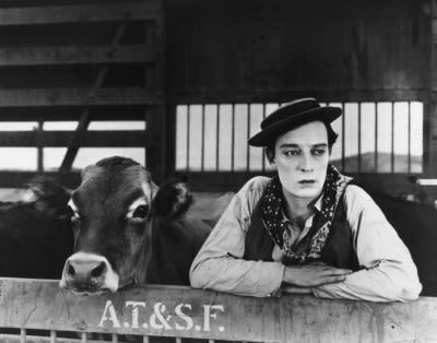 Keaton cow sm lscmvv