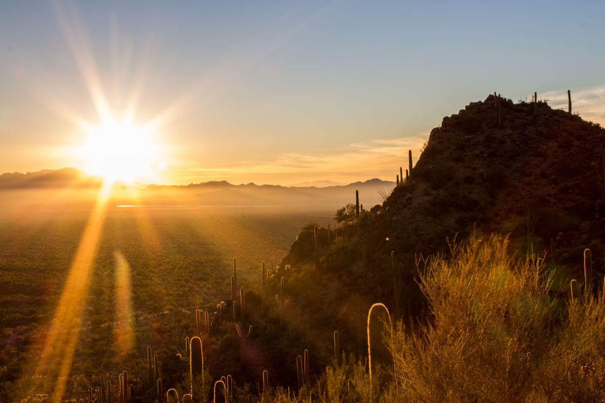 3 Reasons Why Tucson Arizona Is The Perfect Winter Getaway