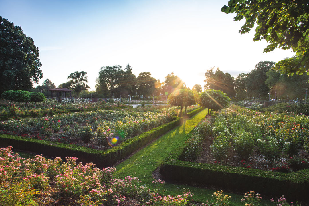 The Hidden History of North Portland's Flower-Powered Peninsula Park ...