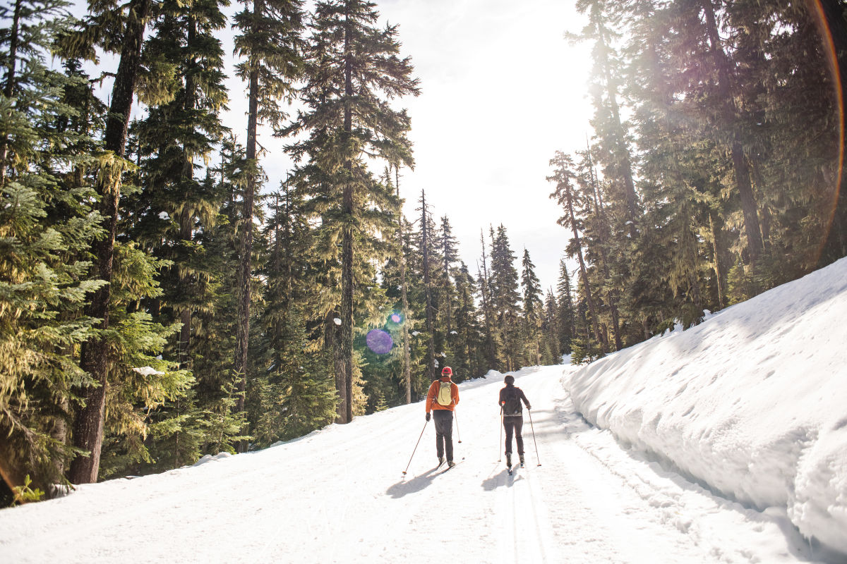 Where to Snowshoe, XC Ski, and Sled on Mount Hood | Portland Monthly