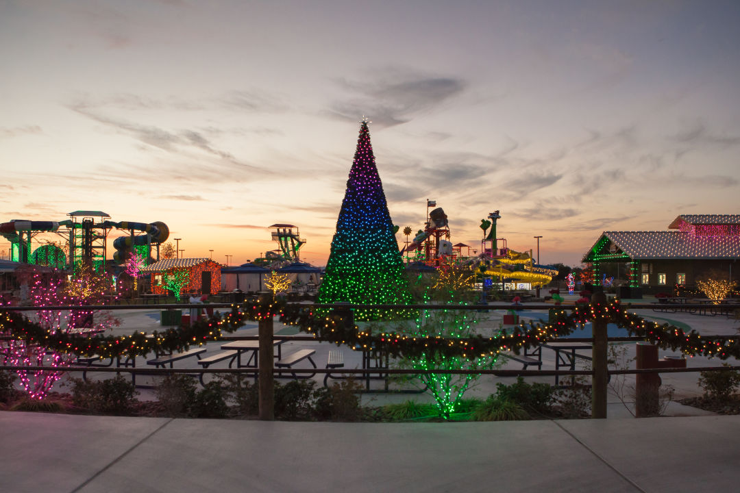 Christmas tree at sunset jsw3qr