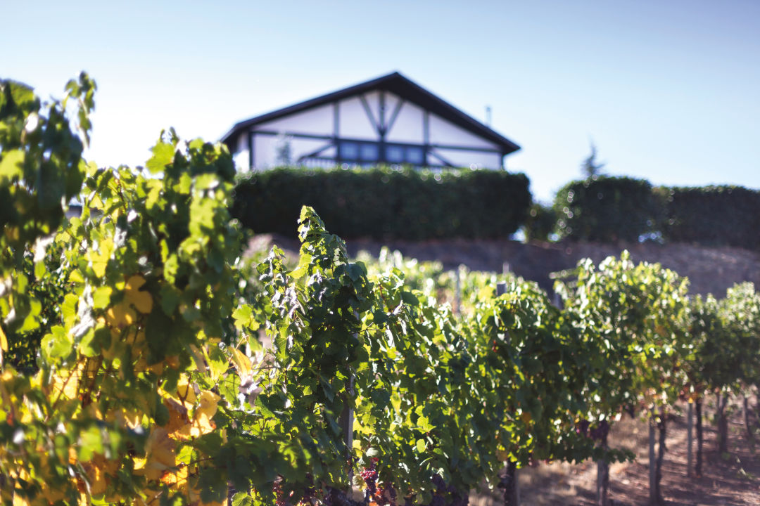 1017 wine country escapes weisinger xq7wjd
