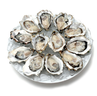 Oysters bz1z3q