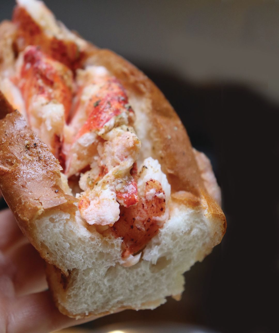 A lobster roll from LobsterCraft on St. Armands Circle