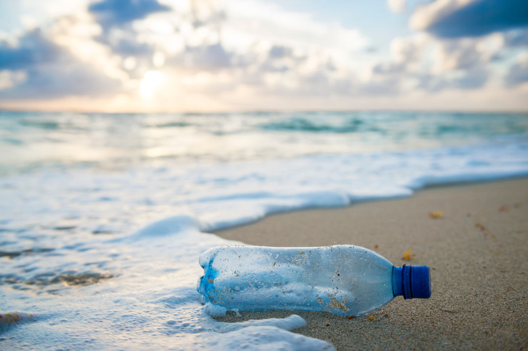 discarded plastic water bottle on beach