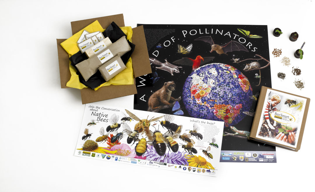 Picture of what is included in the Bee Smart School Gardening Kit