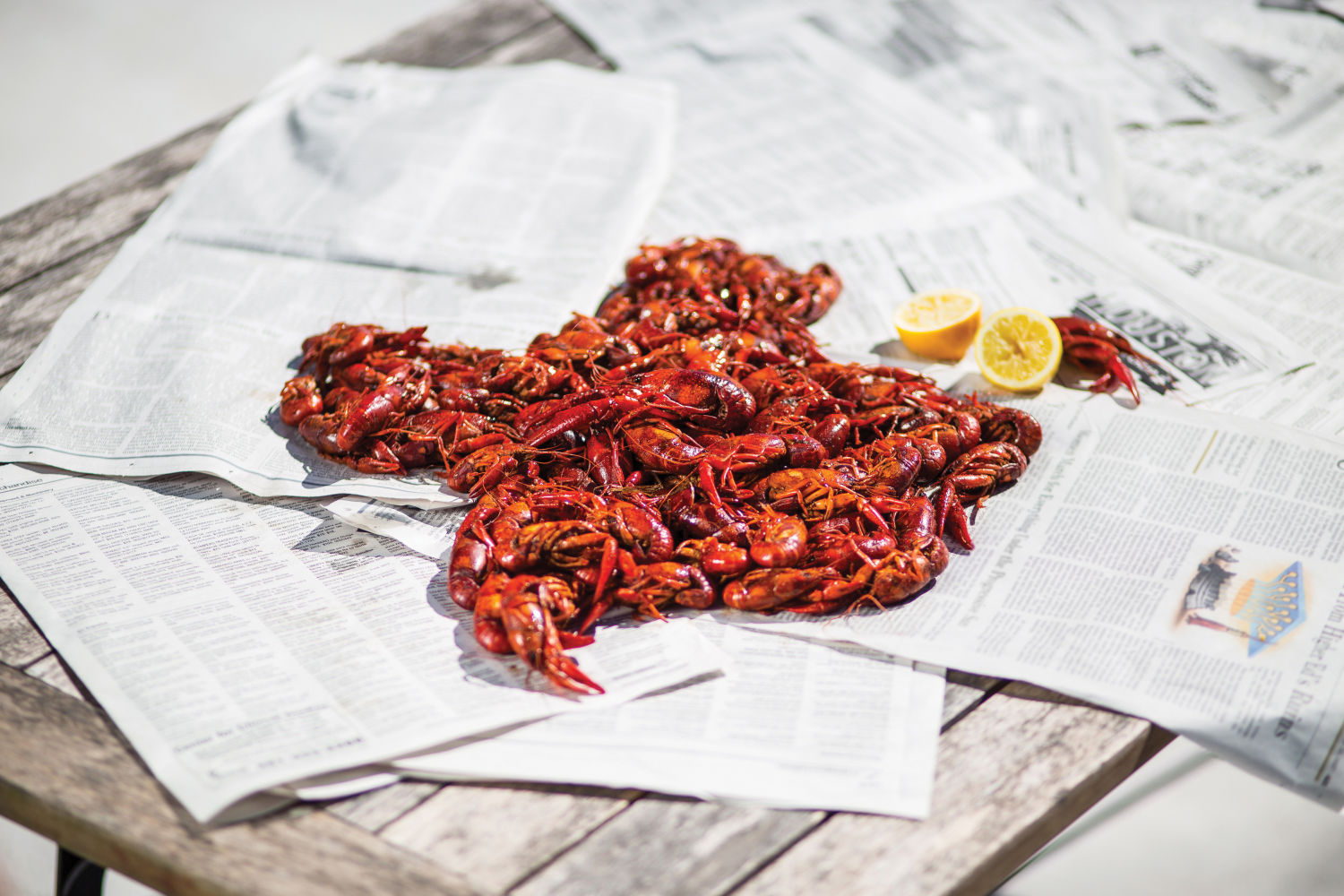 Texas Crawdads Texas Crawfish Biodiversity Conservation