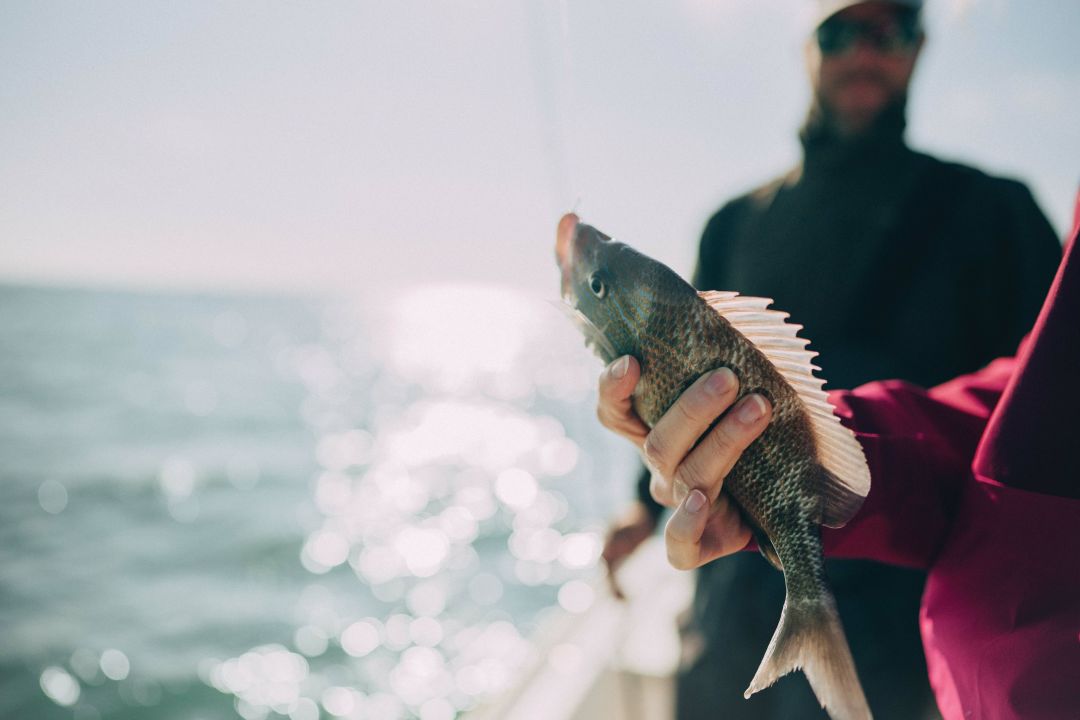 What It's Like to Go Fishing in the Gulf of Mexico for the First Time