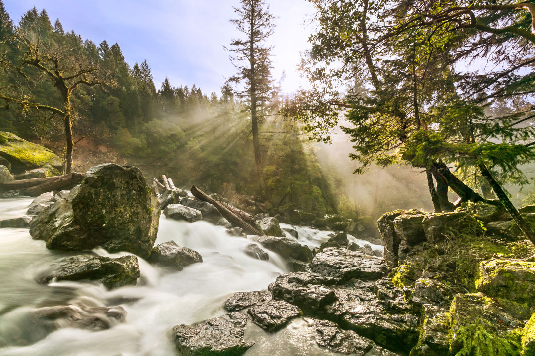 Mill falls f2jvw0