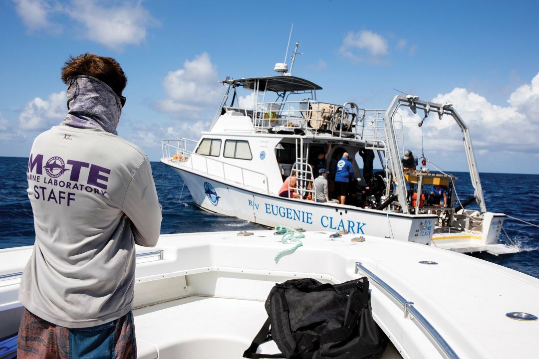 Marine biologist Eugenie Clark made Mote a world-renowned research facility.