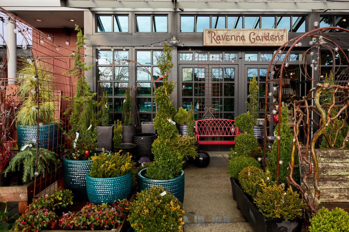 Best Plant Shops in Seattle Seattle Met