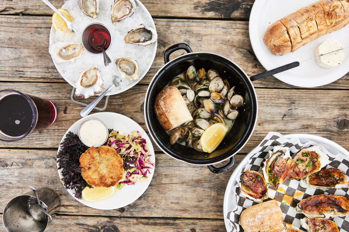 Washington Oysters Could Inspire a Vacation - Vimarsana News