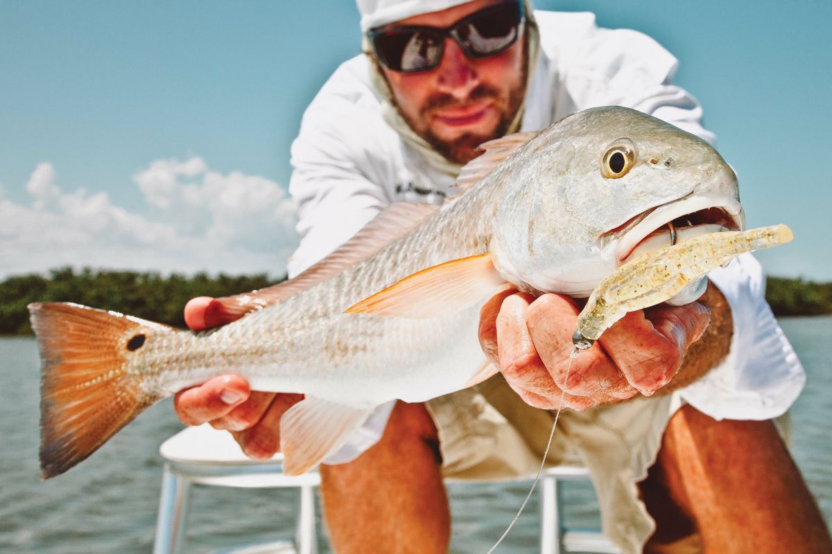 Eleven Types of Fish You'll Find in the Gulf of Mexico