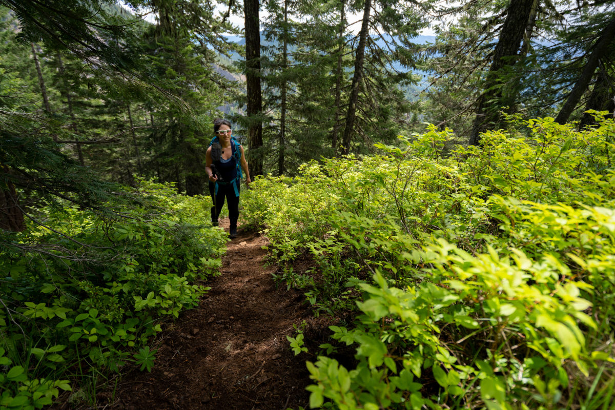Skyline Trail Loop — Washington Trails Association