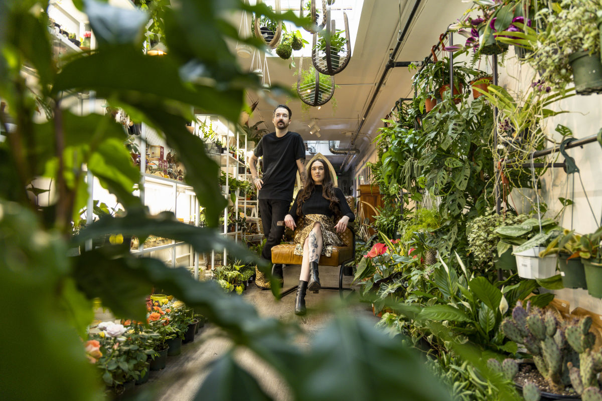 Plant Shops Opened Everywhere During the Pandemic Seattle Met
