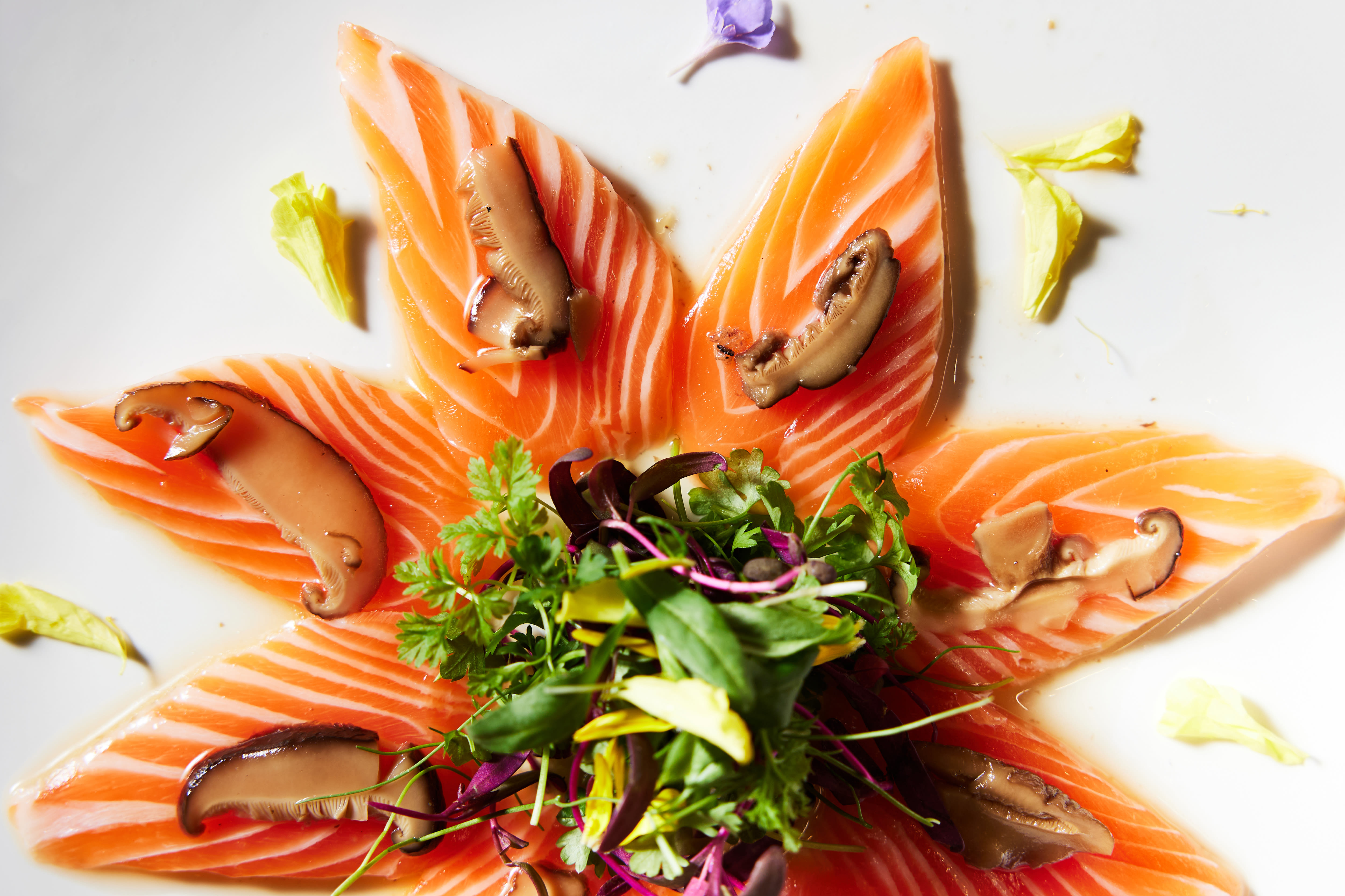 Shiro Kashiba New Sushi Restaurant Opens in Bellevue | Seattle Met