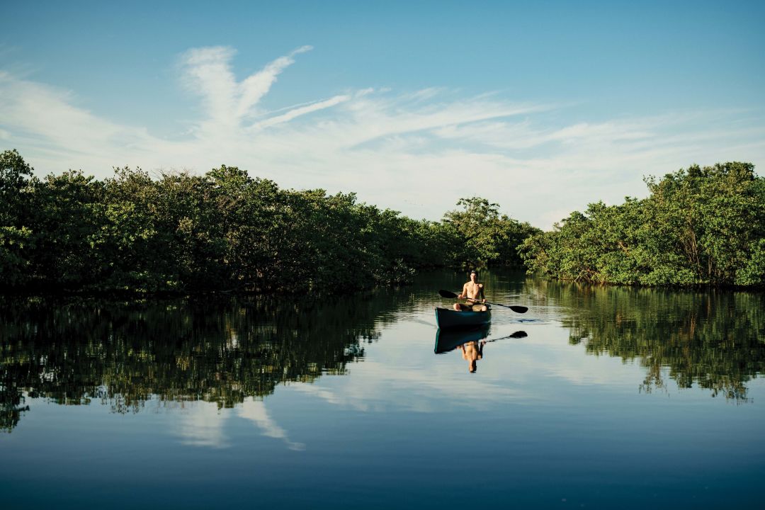 Canoeing through a mangrove tunnel