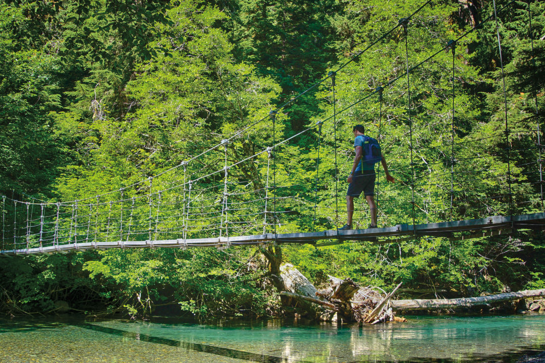 10 Best Hikes at Mount Rainier National Park Seattle Met