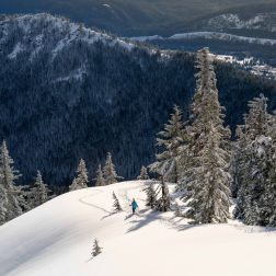 Hiking Is the Safest Way to Have Fun This Summer