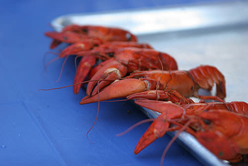 Crawfish festival rxtfvj