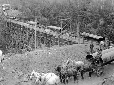 1895 orhi 35386 horses pipe flfwch