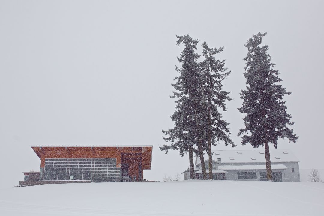 Stollersnow 14 cqc9jv