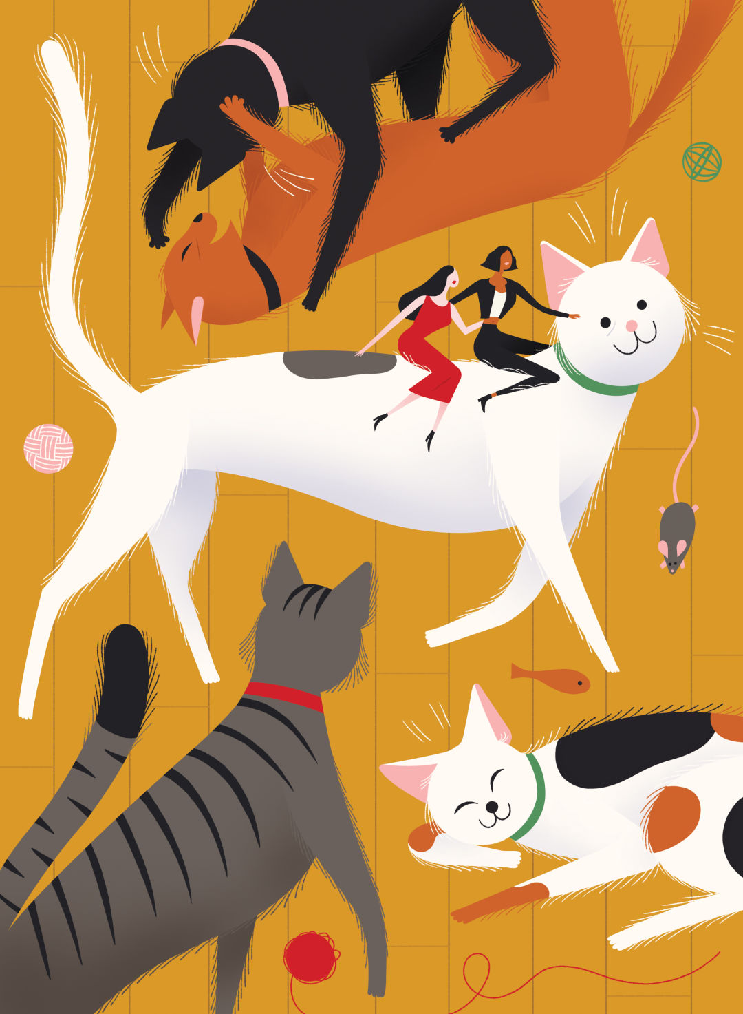 Pomo 0217 pets opener cat illustration xxuriw