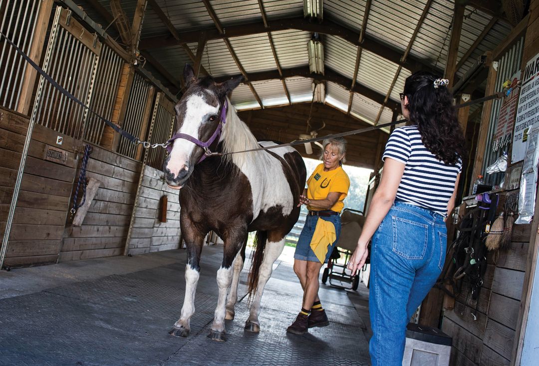 The author (in striped shirt) experiences equine therapy at Prospect Riding Center.