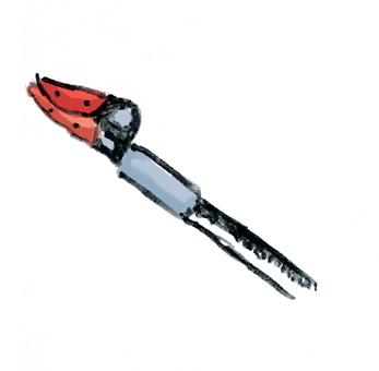 0813 long pruner b5hwo0