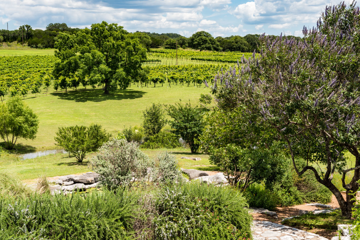Travel the Texas Wine Trail in Fredericksburg Houstonia Magazine