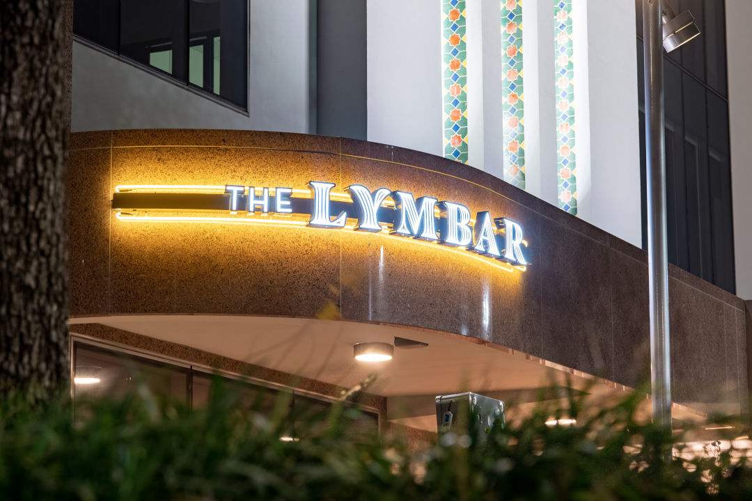 A Tree Grows in Houston, Texas at The Lymbar Restaurant