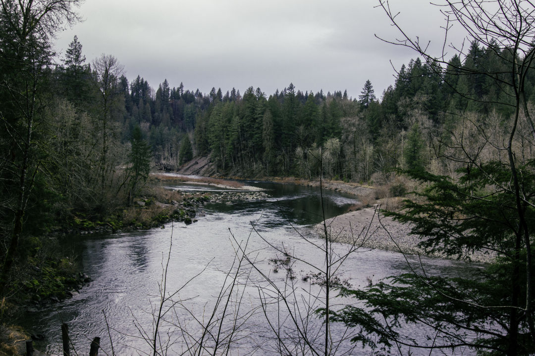 Hike of the Month Oxbow Loop Portland Monthly