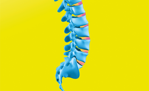 0113 chiropractic oxkiz9