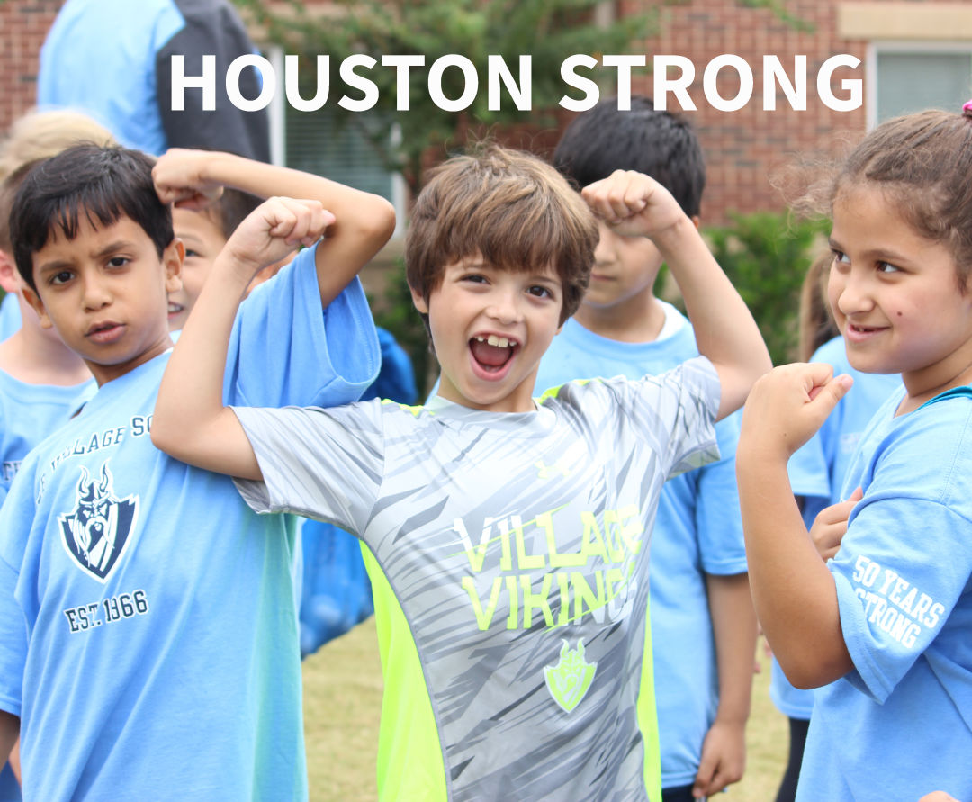Houstonstrong houstonia ti2qkl
