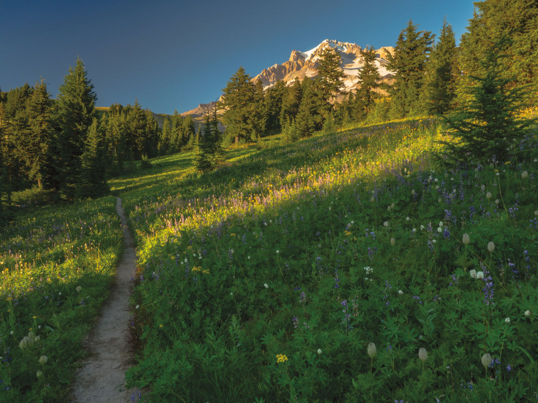 pacific northwest camping trip