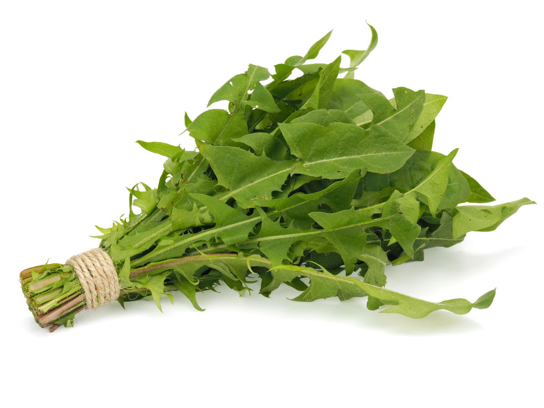 Shutterstock 282337577 eammbf