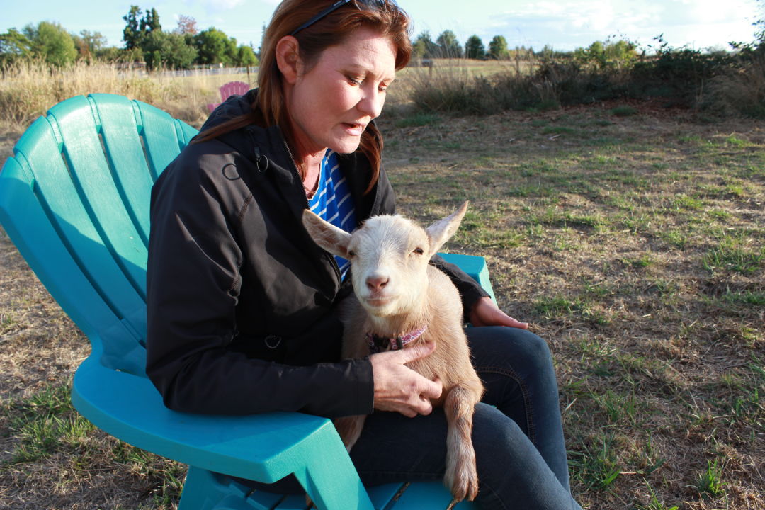 The new kid craze: Goat Yoga