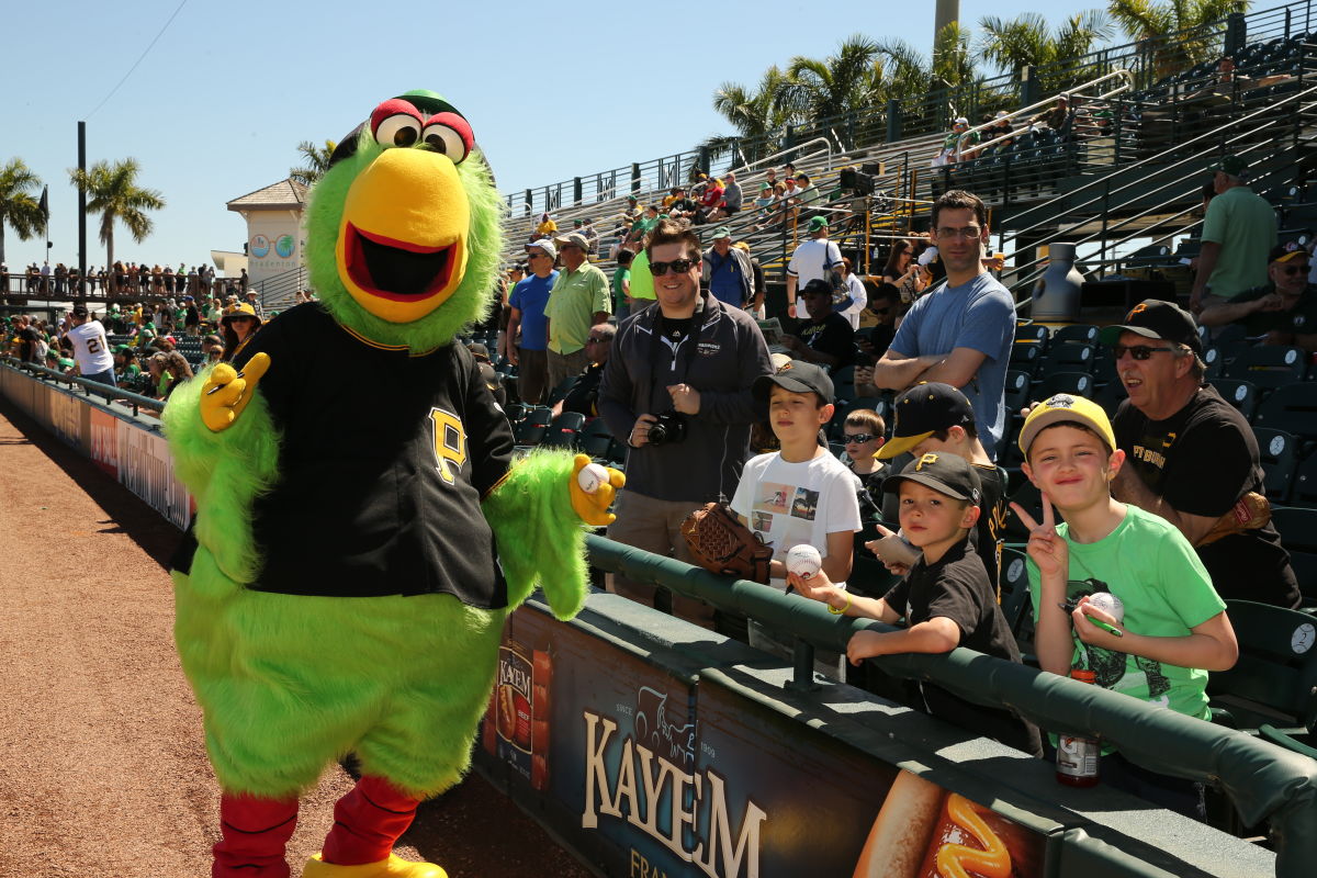 The Pittsburgh Pirates mascot, the Pirate Parrot sits in the