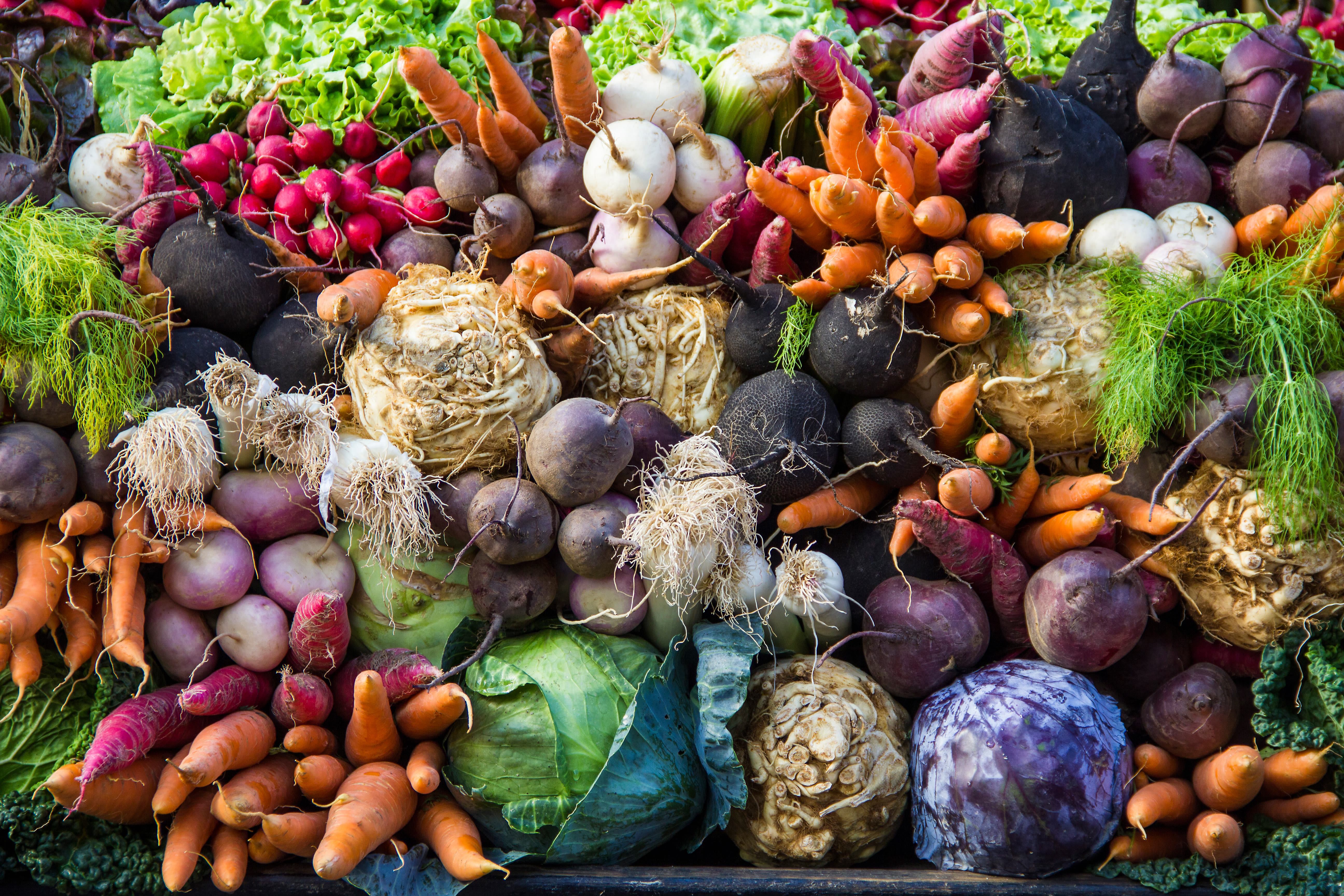 Vegetable products. Урожай овощей. Овощи и фрукты с огорода. Овощи на огороде. Сочные овощи.